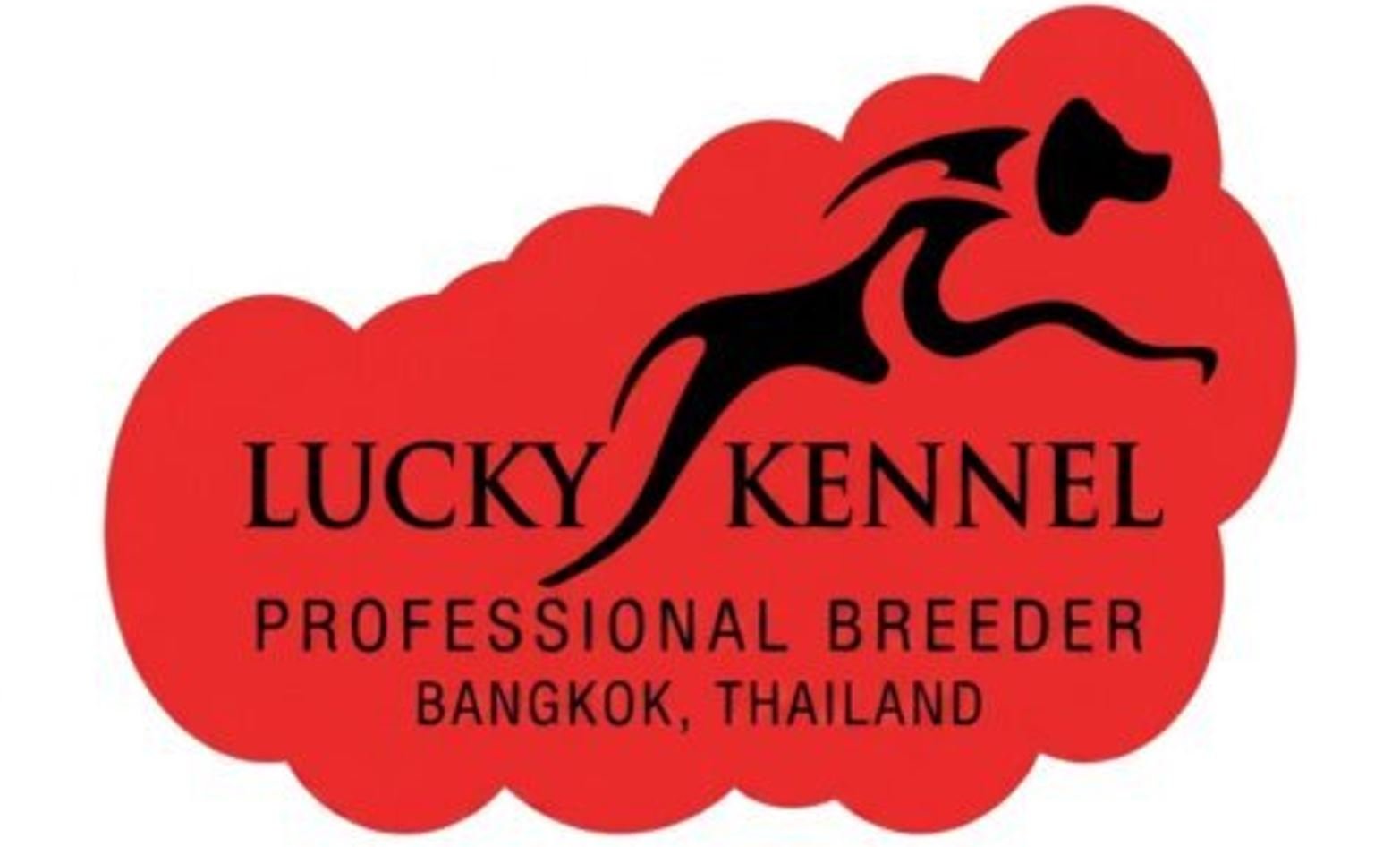 Lucky Kennel Logo
